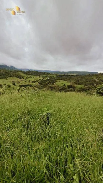 Fazenda à venda de 1.227 ha em Porto Esperidião, MT, Brasil