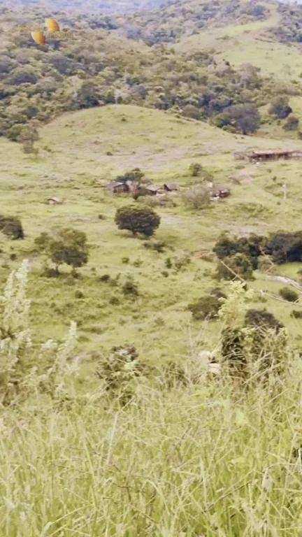 Fazenda à venda de 1.227 ha em Porto Esperidião, MT, Brasil