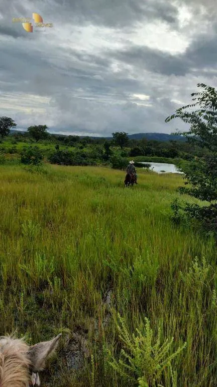 Fazenda à venda de 1.227 ha em Porto Esperidião, MT, Brasil