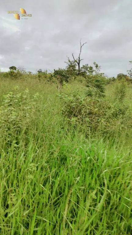 Fazenda à venda de 1.227 ha em Porto Esperidião, MT, Brasil