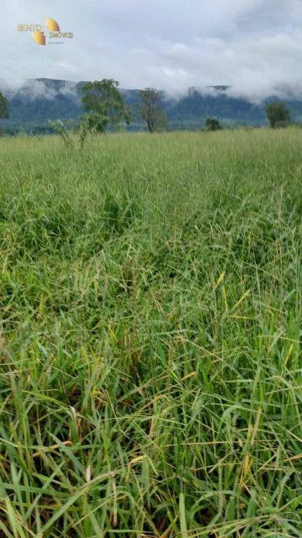 Fazenda à venda de 1.227 ha em Porto Esperidião, MT, Brasil