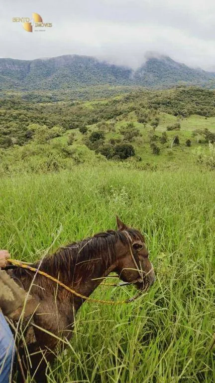 Fazenda à venda de 1.227 ha em Porto Esperidião, MT, Brasil