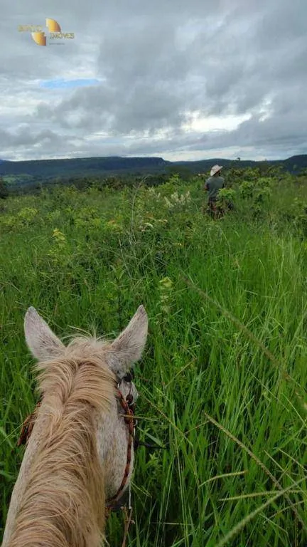 Fazenda à venda de 1.227 ha em Porto Esperidião, MT, Brasil
