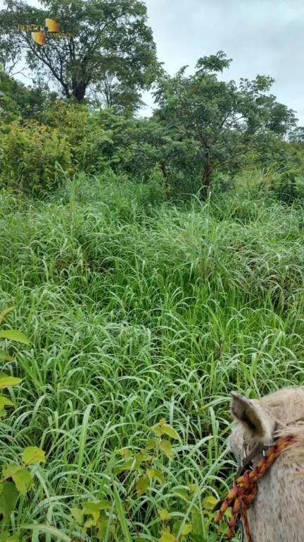 Fazenda à venda de 1.227 ha em Porto Esperidião, MT, Brasil