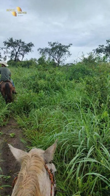 Fazenda à venda de 1.227 ha em Porto Esperidião, MT, Brasil