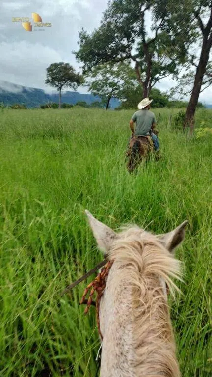 Fazenda à venda de 1.227 ha em Porto Esperidião, MT, Brasil