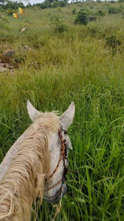 Fazenda à venda de 1.227 ha em Porto Esperidião, MT, Brasil