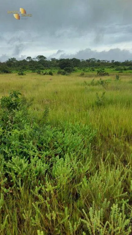 Fazenda à venda de 1.227 ha em Porto Esperidião, MT, Brasil