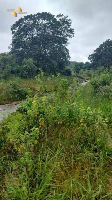 Fazenda à venda de 1.227 ha em Porto Esperidião, MT, Brasil