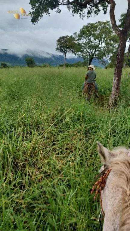 Fazenda à venda de 1.227 ha em Porto Esperidião, MT, Brasil