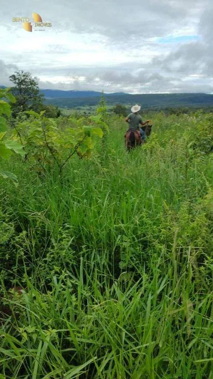Fazenda à venda de 1.227 ha em Porto Esperidião, MT, Brasil