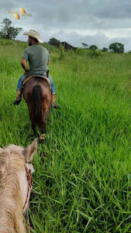 Fazenda à venda de 1.227 ha em Porto Esperidião, MT, Brasil