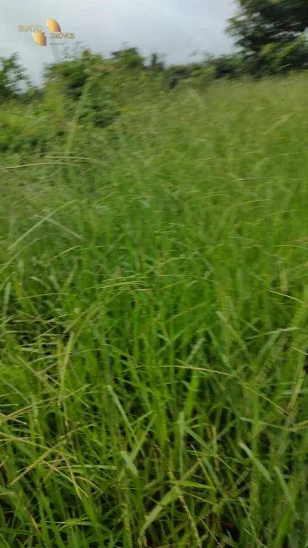 Fazenda à venda de 1.227 ha em Porto Esperidião, MT, Brasil