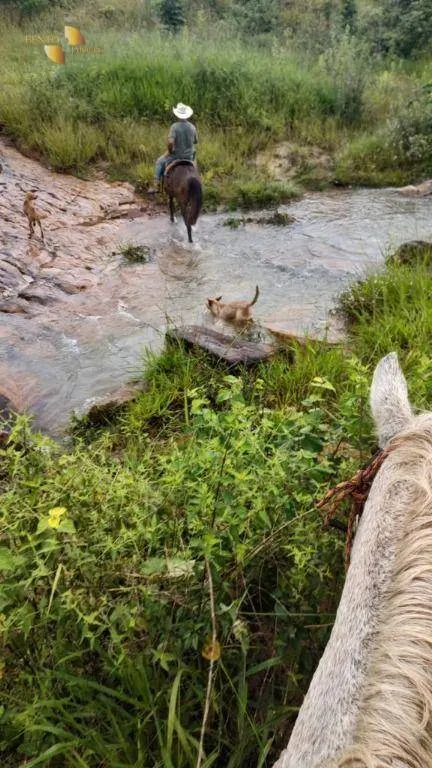 Fazenda à venda de 1.227 ha em Porto Esperidião, MT, Brasil