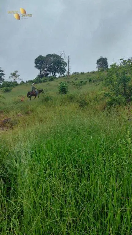 Fazenda à venda de 1.227 ha em Porto Esperidião, MT, Brasil
