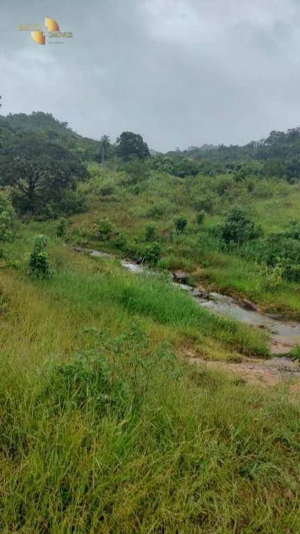 Fazenda à venda de 1.227 ha em Porto Esperidião, MT, Brasil