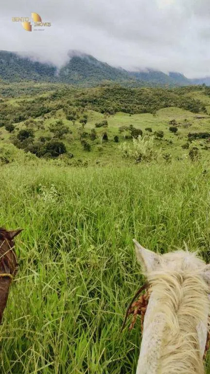 Fazenda à venda de 1.227 ha em Porto Esperidião, MT, Brasil