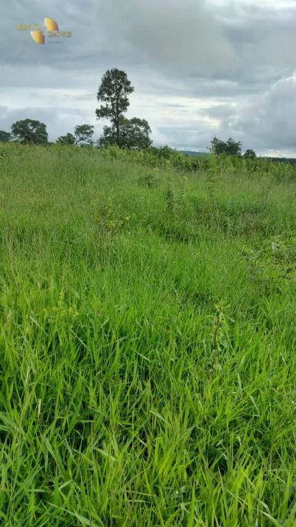 Fazenda à venda de 1.227 ha em Porto Esperidião, MT, Brasil