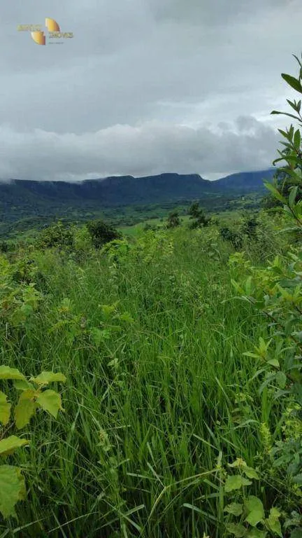Fazenda à venda de 1.227 ha em Porto Esperidião, MT, Brasil