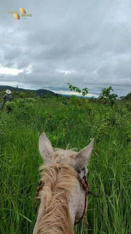 Fazenda à venda de 1.227 ha em Porto Esperidião, MT, Brasil