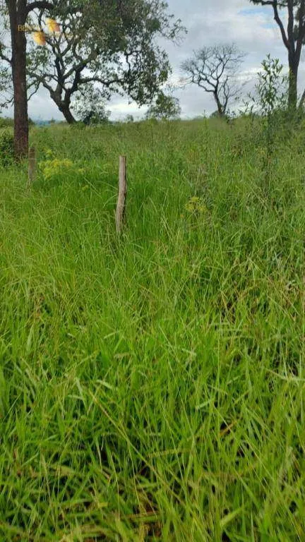 Fazenda à venda de 1.227 ha em Porto Esperidião, MT, Brasil