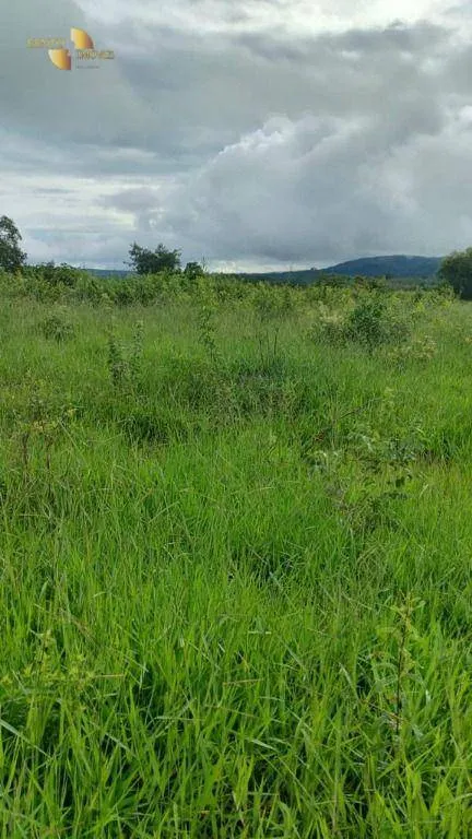 Fazenda à venda de 1.227 ha em Porto Esperidião, MT, Brasil
