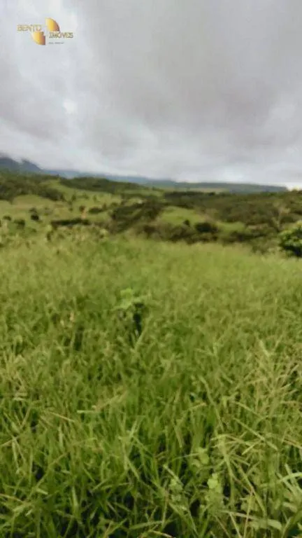 Fazenda à venda de 1.227 ha em Porto Esperidião, MT, Brasil