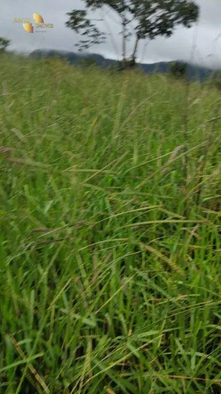 Fazenda à venda de 1.227 ha em Porto Esperidião, MT, Brasil