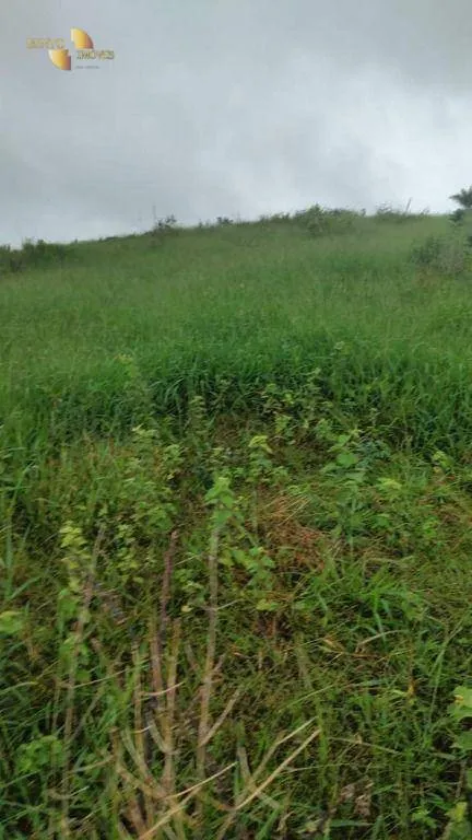 Fazenda à venda de 1.227 ha em Porto Esperidião, MT, Brasil