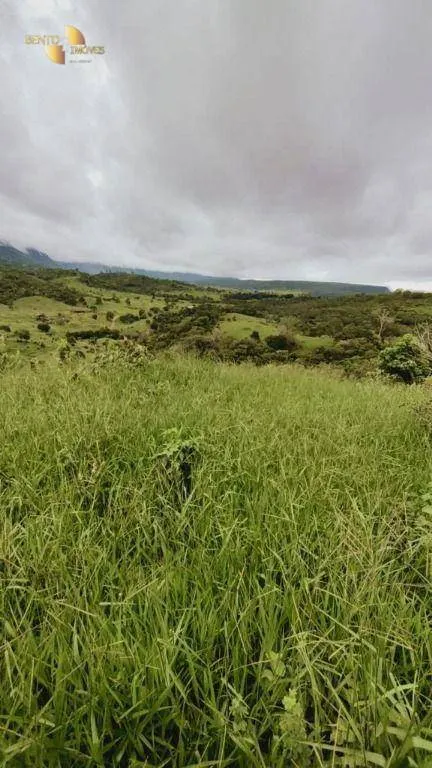 Fazenda à venda de 1.227 ha em Porto Esperidião, MT, Brasil