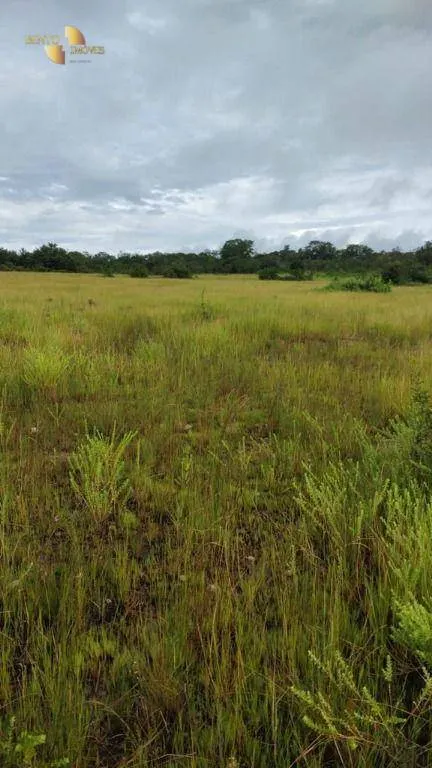 Fazenda à venda de 1.227 ha em Porto Esperidião, MT, Brasil
