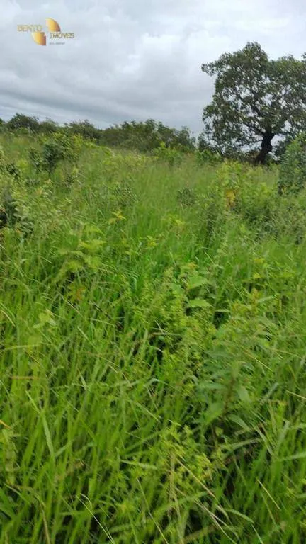 Fazenda à venda de 1.227 ha em Porto Esperidião, MT, Brasil