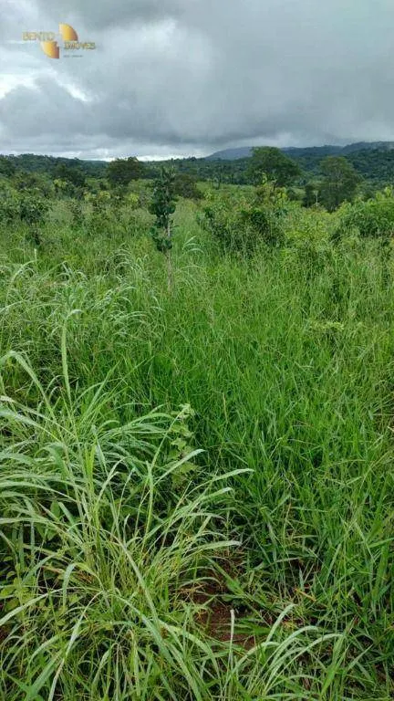 Fazenda à venda de 1.227 ha em Porto Esperidião, MT, Brasil
