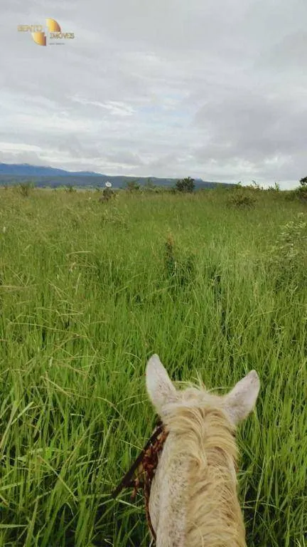 Fazenda à venda de 1.227 ha em Porto Esperidião, MT, Brasil