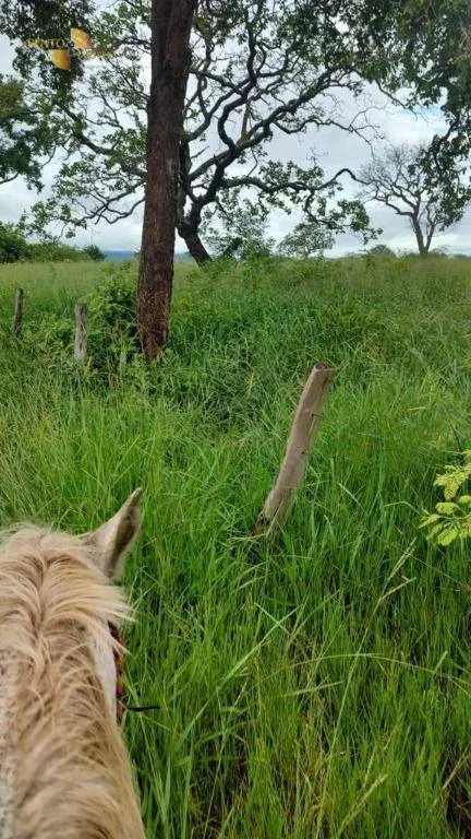 Fazenda à venda de 1.227 ha em Porto Esperidião, MT, Brasil