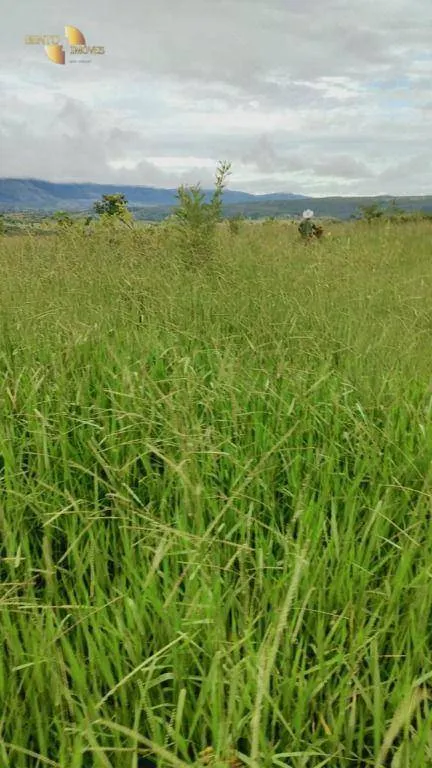 Fazenda à venda de 1.227 ha em Porto Esperidião, MT, Brasil