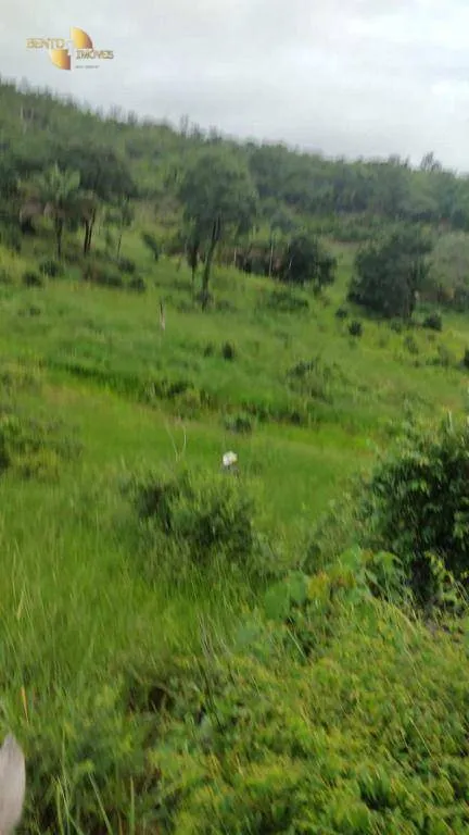 Fazenda à venda de 1.227 ha em Porto Esperidião, MT, Brasil