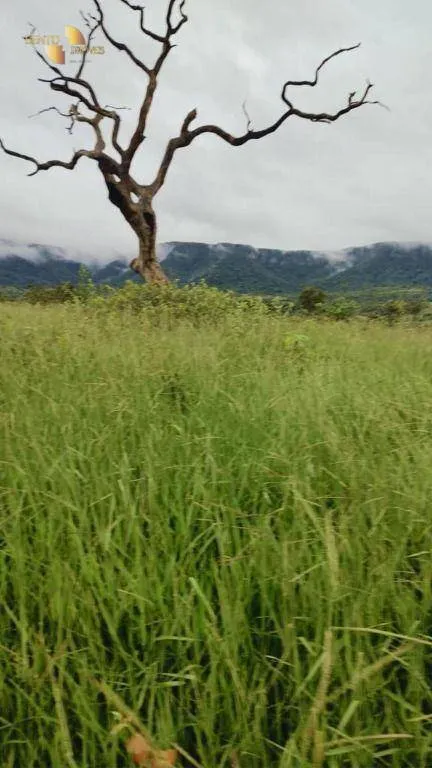 Fazenda à venda de 1.227 ha em Porto Esperidião, MT, Brasil