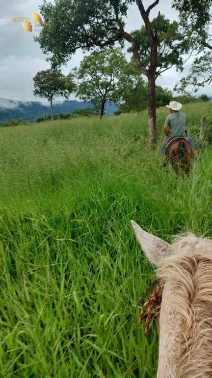 Fazenda à venda de 1.227 ha em Porto Esperidião, MT, Brasil