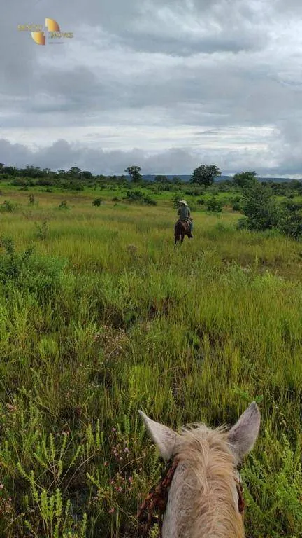 Fazenda à venda de 1.227 ha em Porto Esperidião, MT, Brasil