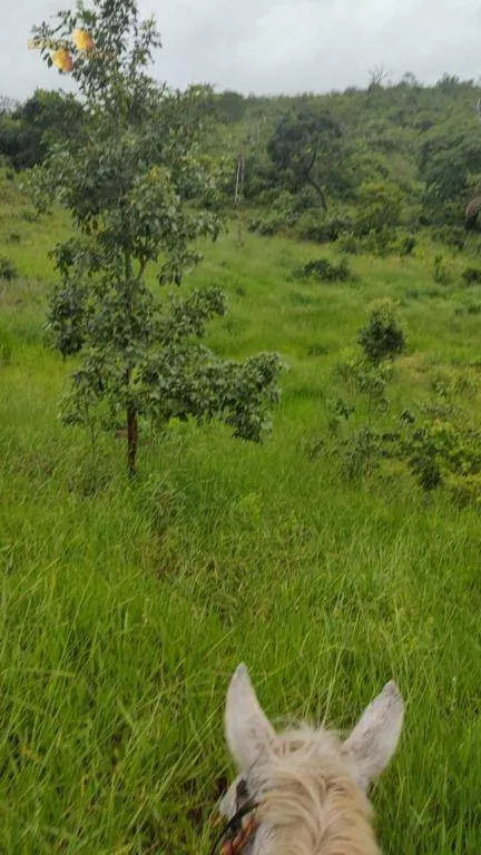 Fazenda à venda de 1.227 ha em Porto Esperidião, MT, Brasil