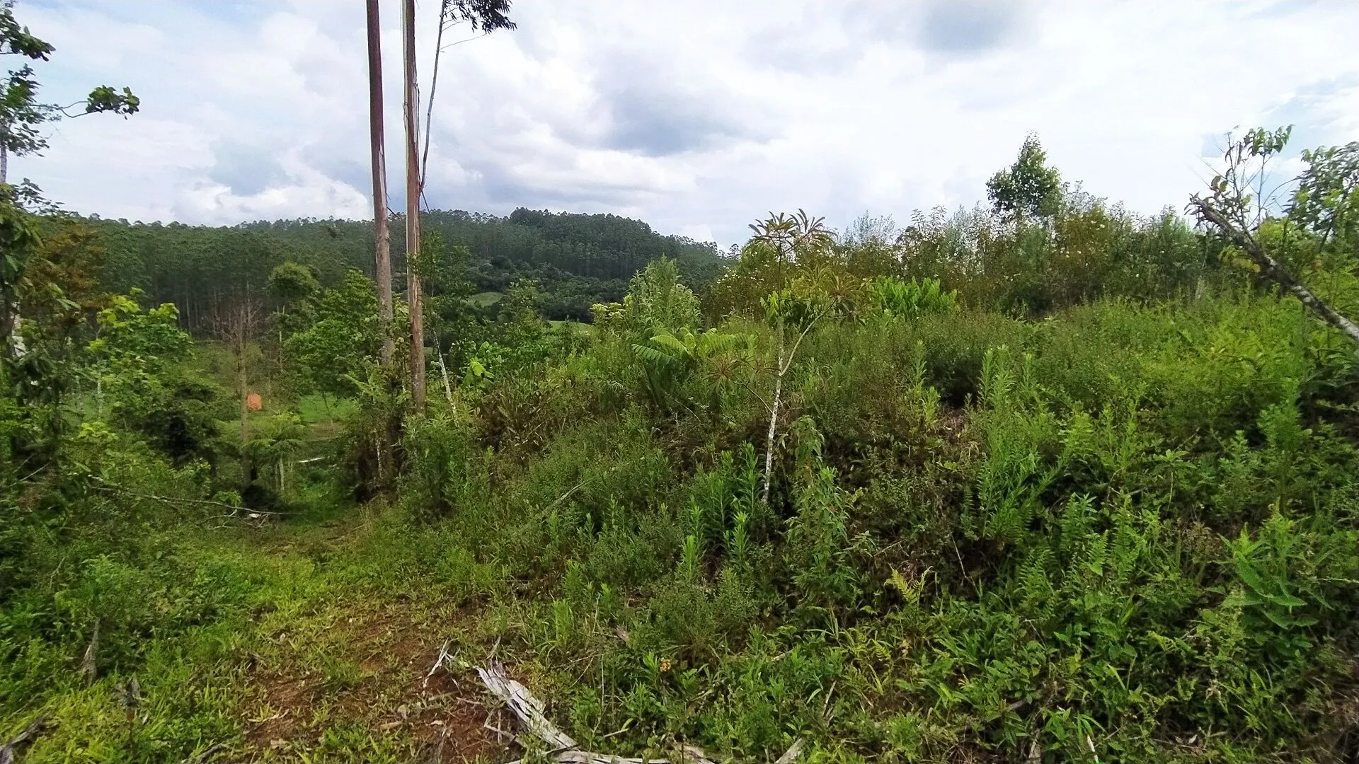 Terreno à venda de 20 ha em Vitor Meireles, SC, Brasil