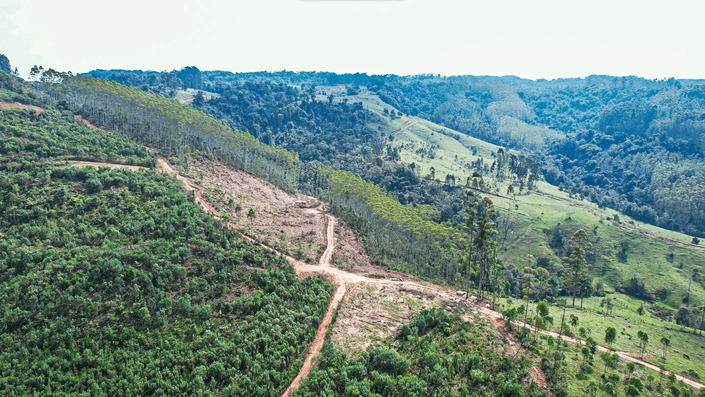 Terreno à venda de 20 ha em Vitor Meireles, SC, Brasil