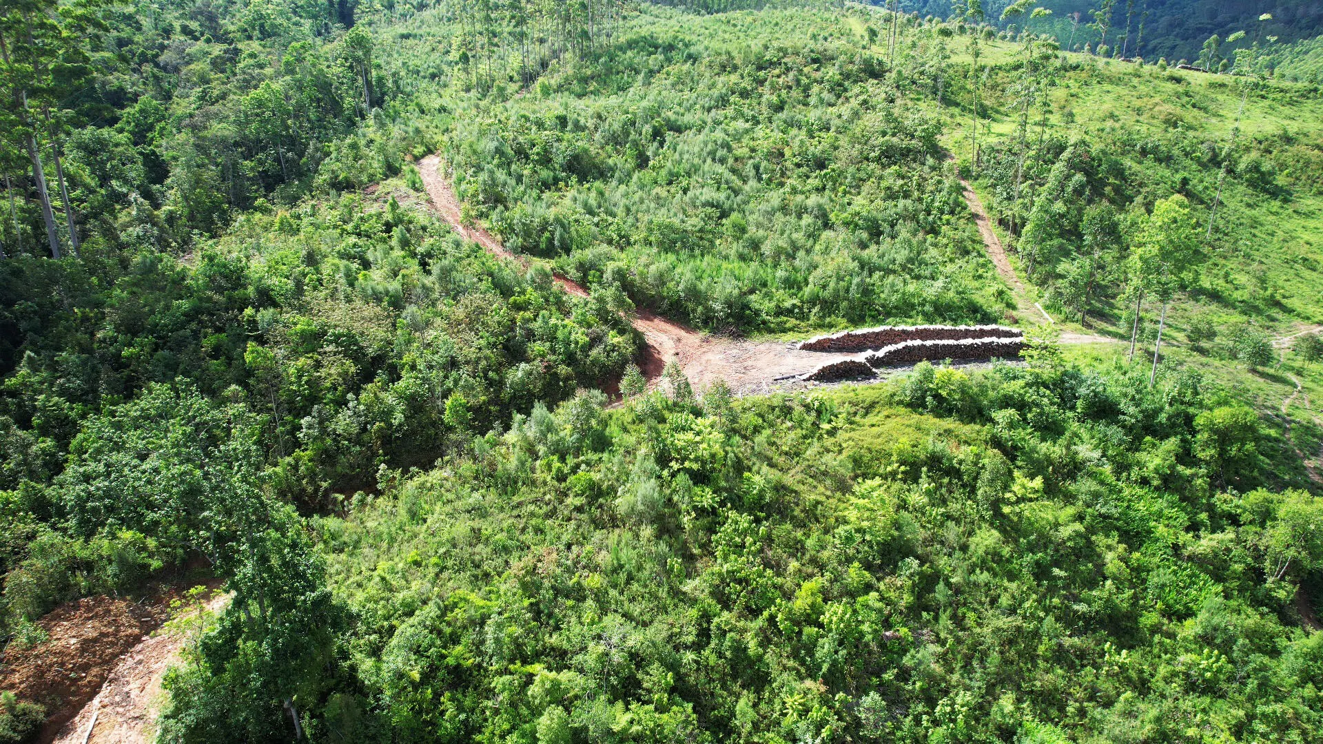 Terreno à venda de 20 ha em Vitor Meireles, SC, Brasil