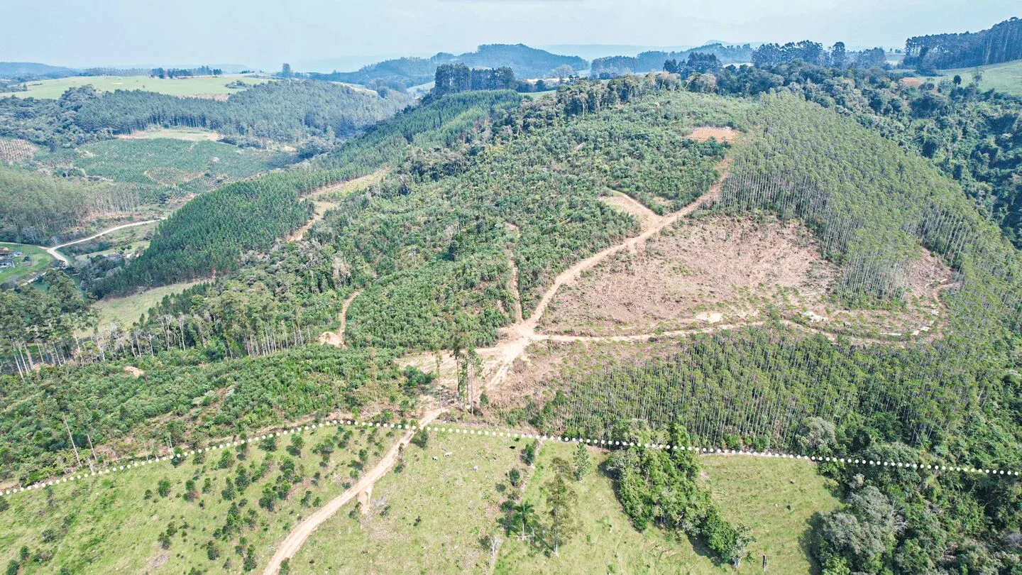 Terreno à venda de 20 ha em Vitor Meireles, SC, Brasil