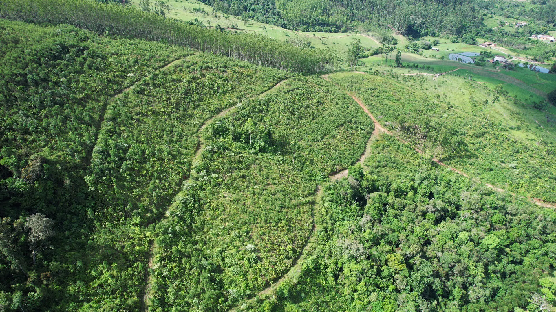 Terreno à venda de 20 ha em Vitor Meireles, SC, Brasil