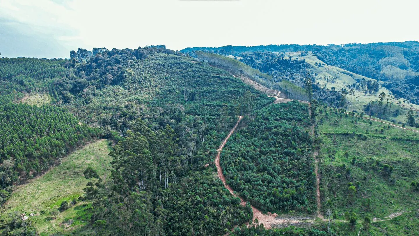 Terreno à venda de 20 ha em Vitor Meireles, SC, Brasil