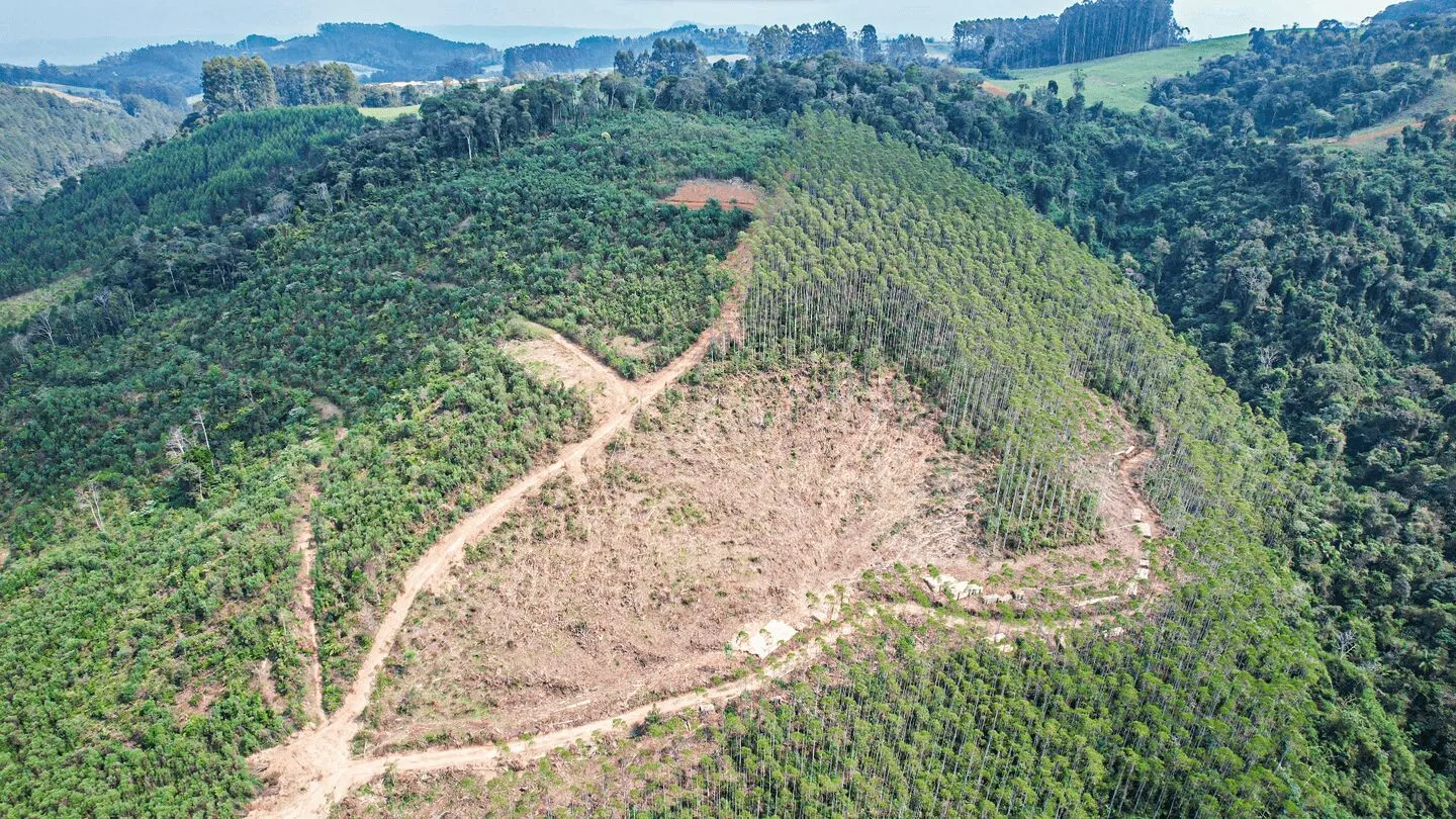 Terreno à venda de 20 ha em Vitor Meireles, SC, Brasil