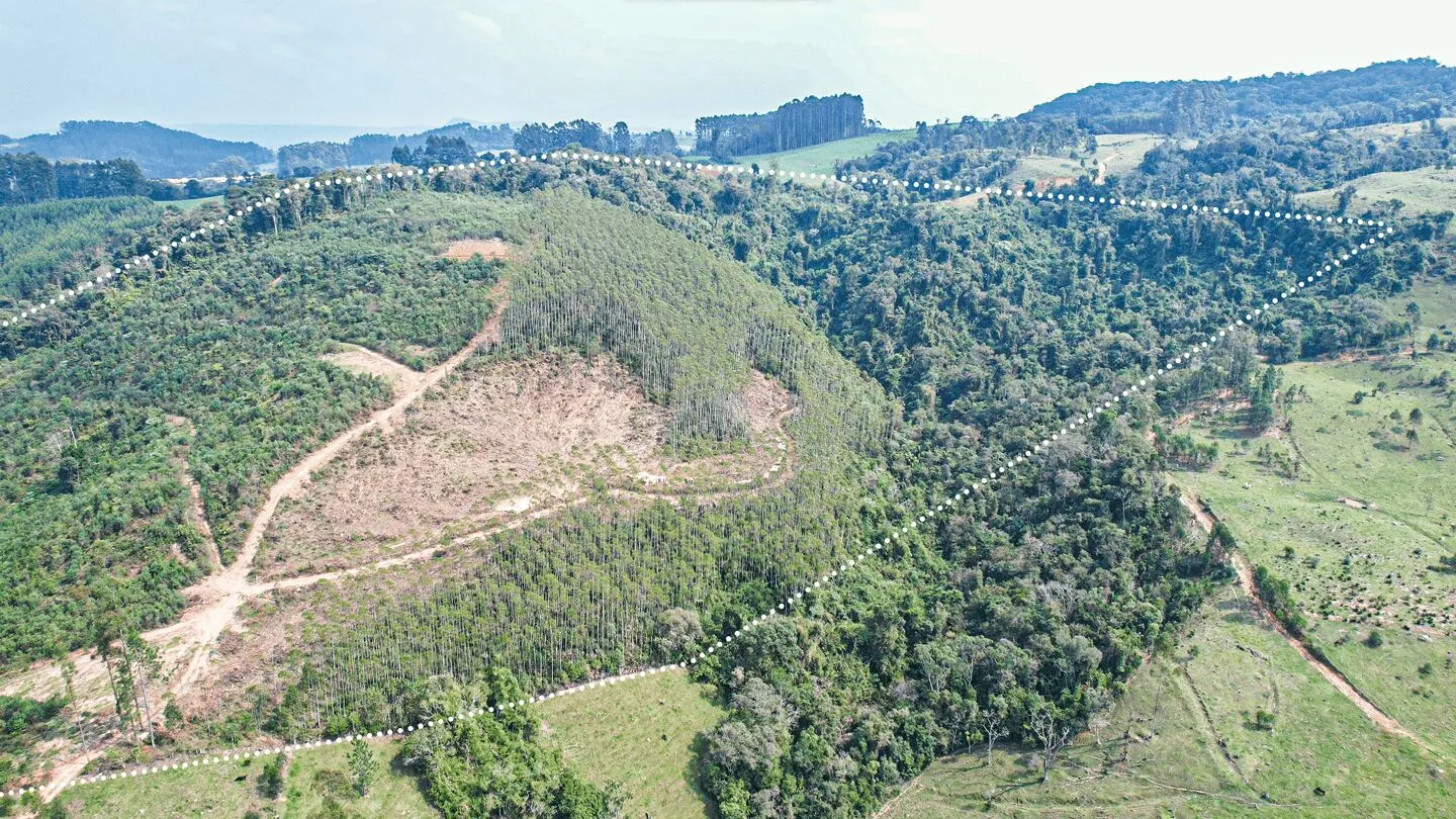 Terreno à venda de 20 ha em Vitor Meireles, SC, Brasil
