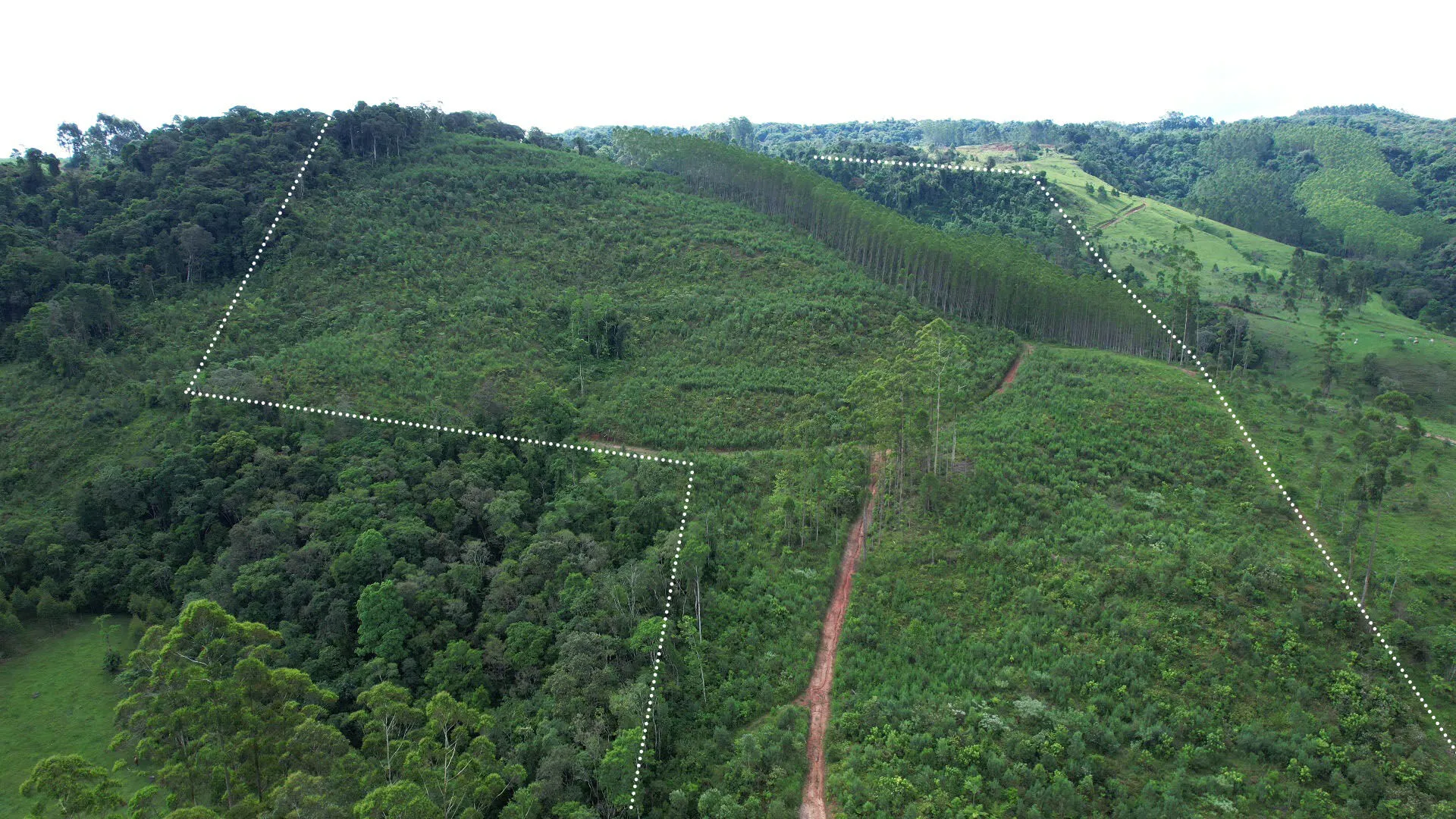 Terreno à venda de 20 ha em Vitor Meireles, SC, Brasil